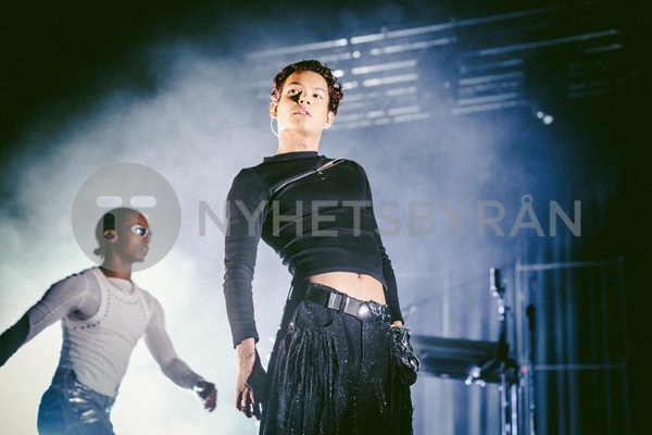 (c) Elena Di Vincenzo
